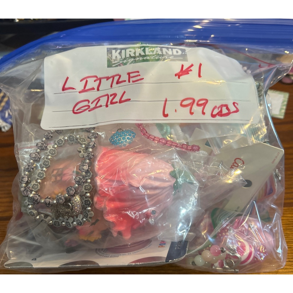 Girls Unbranded Multi-color Kids Jewelry Lot 2lbs